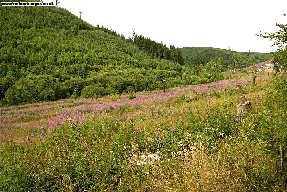 Abergwesyn