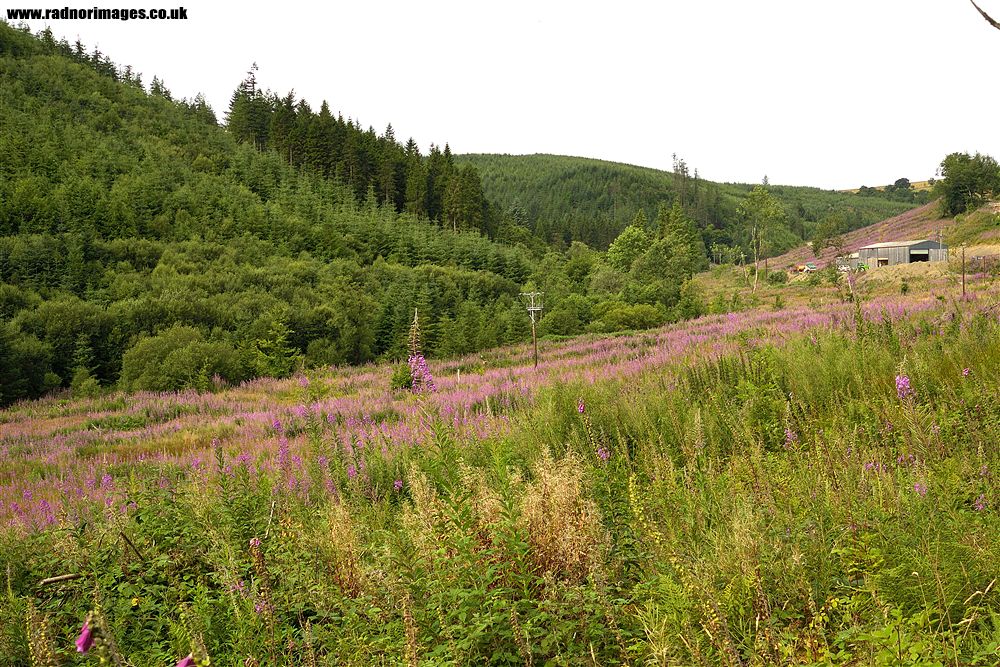 Abergwesyn