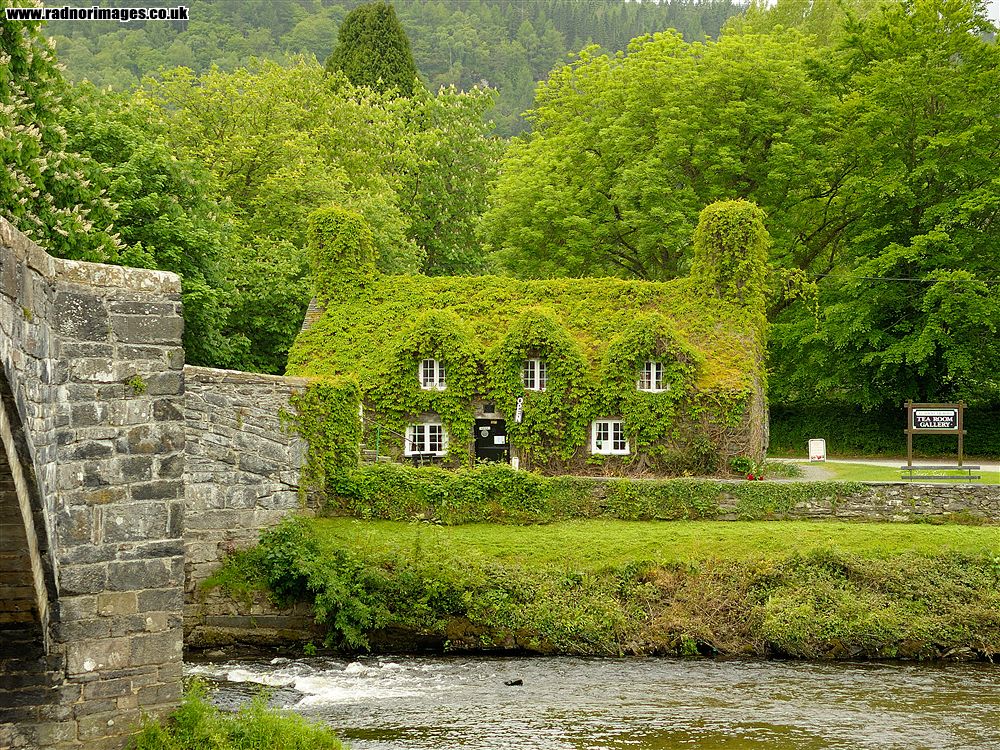 Afon Conwy