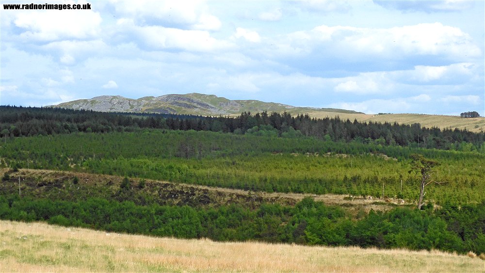 Afon Giedd