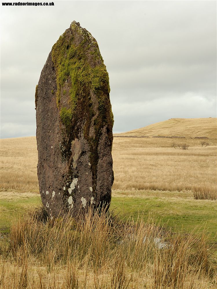 Afon Llia