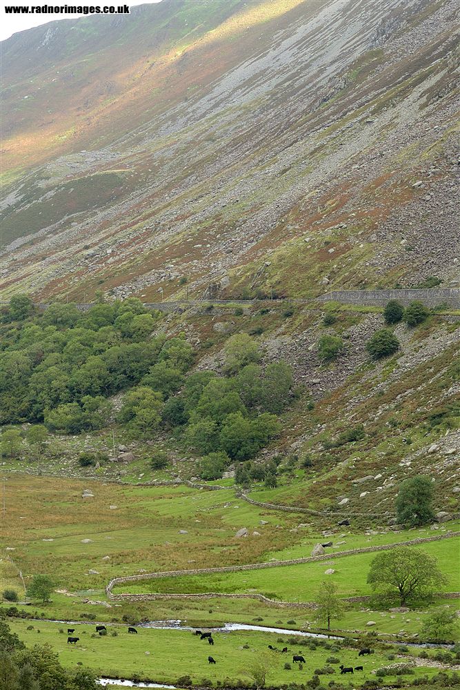 Afon Ogwen