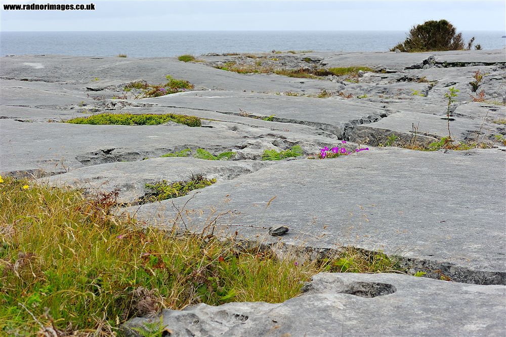Aran Islands