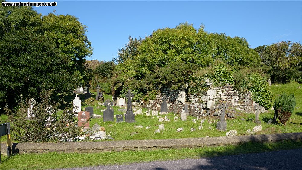 Barnatonicane