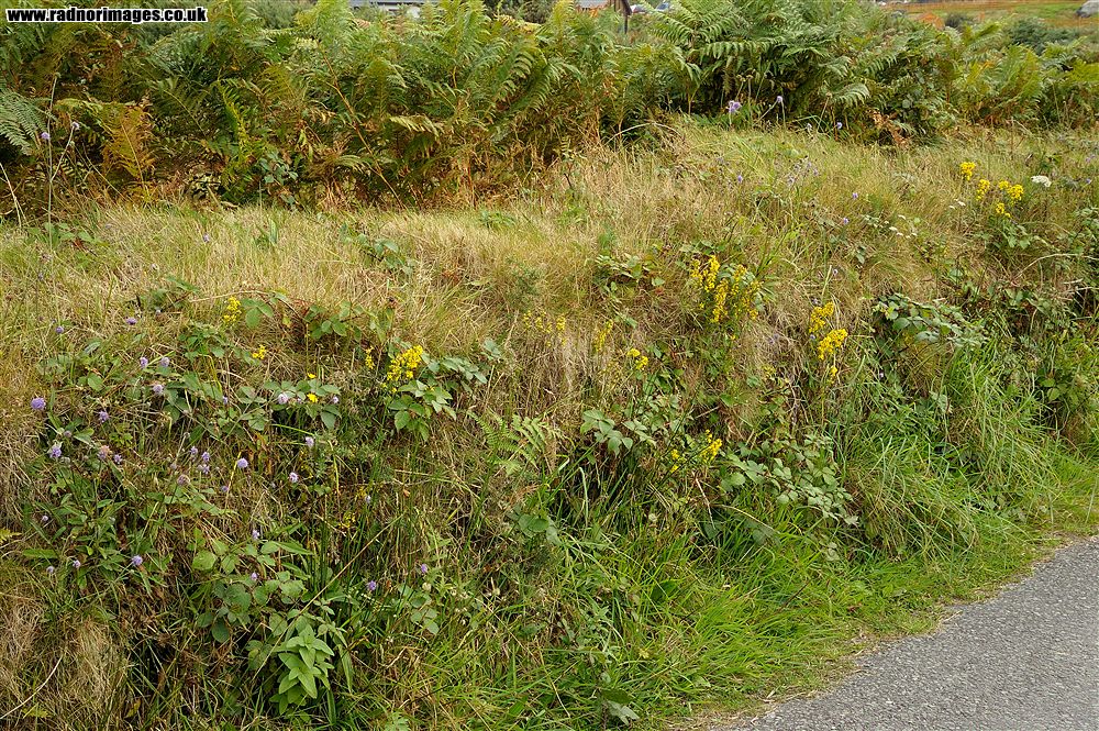 Bere Peninsula