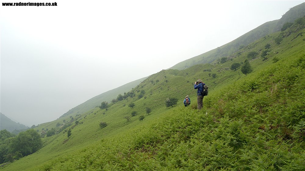 Black Mountains
