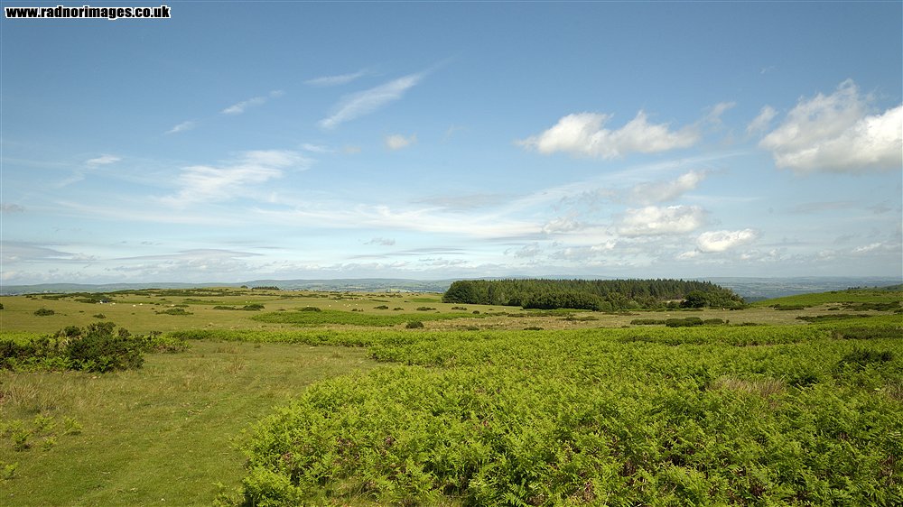 Black Mountains