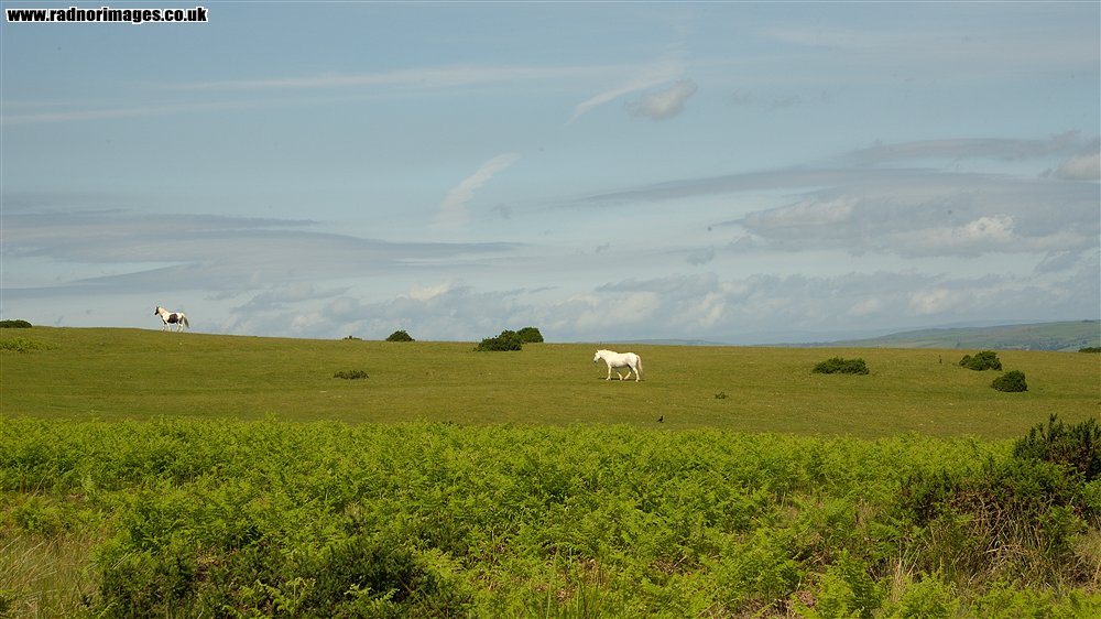 Black Mountains