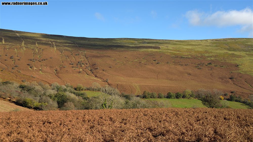 Black Mountains