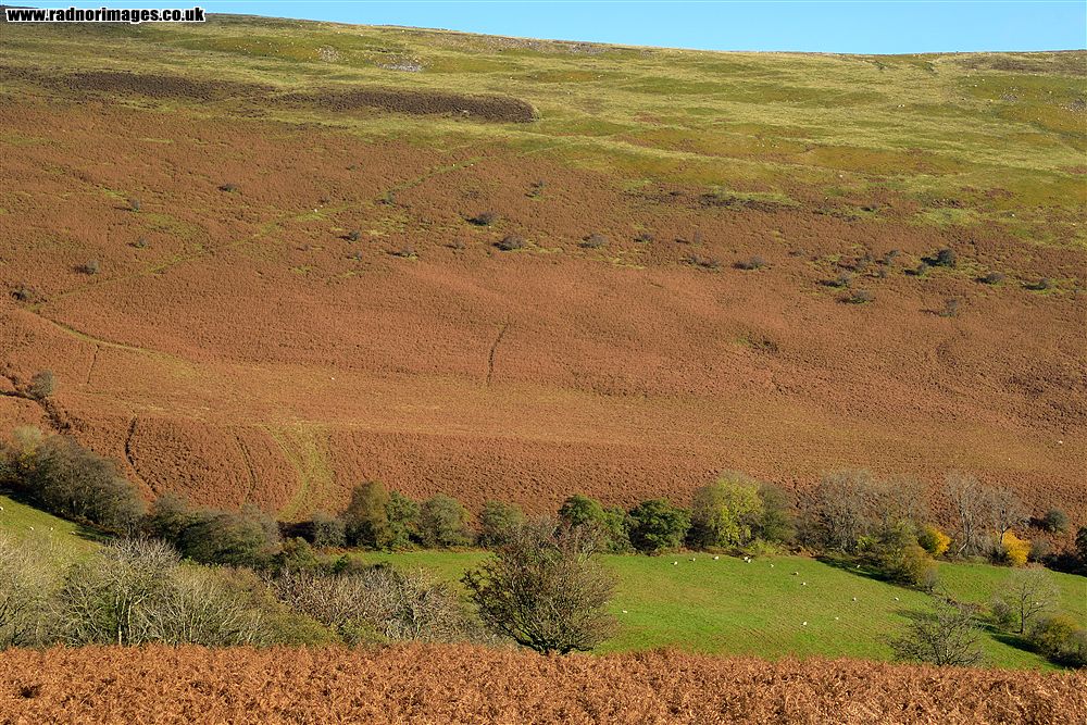 Black Mountains