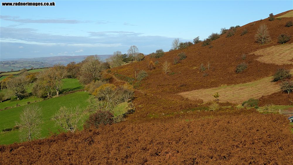 Black Mountains