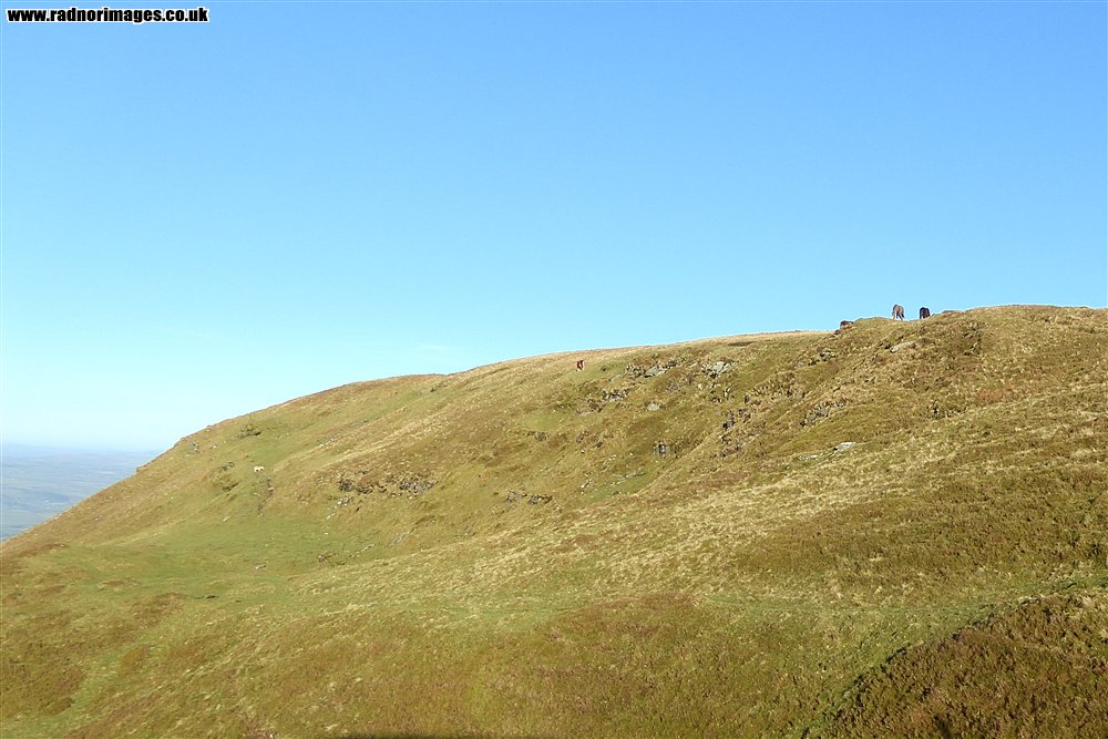 Black Mountains
