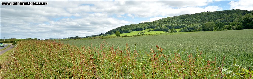 Black Mountains