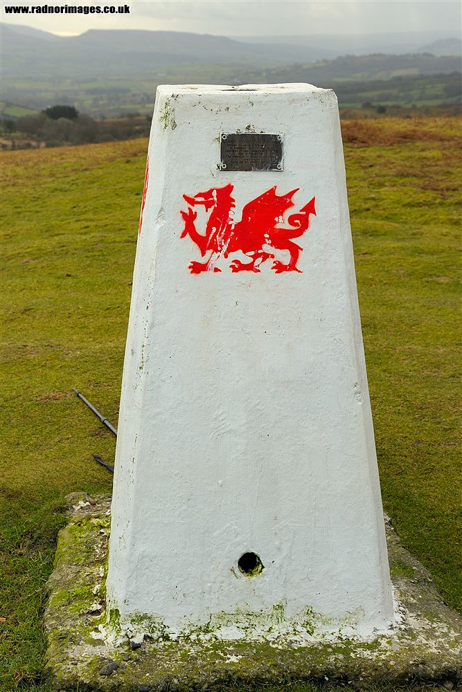 Brechfa Common