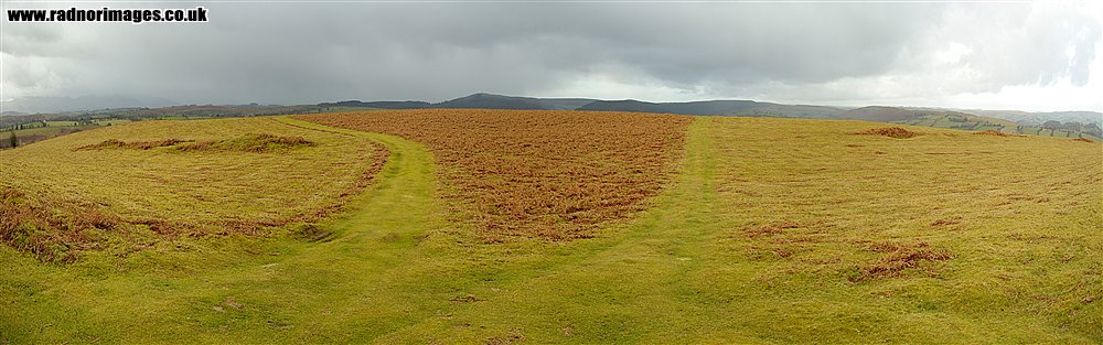 Brechfa Common