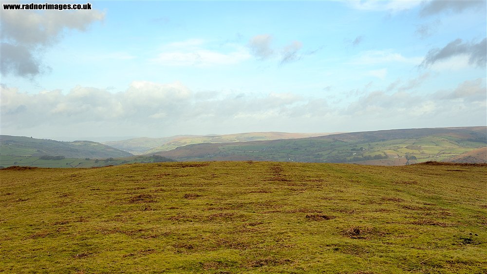 Brechfa Common