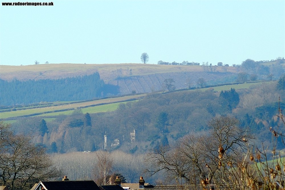 Brechfa Common