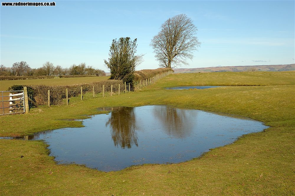 Brechfa Common