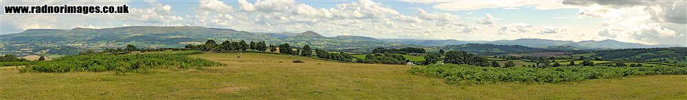 Brechfa Common