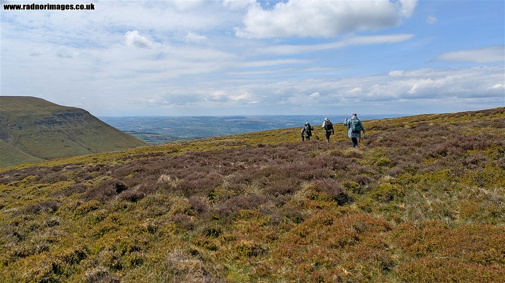 Brecknock Botany