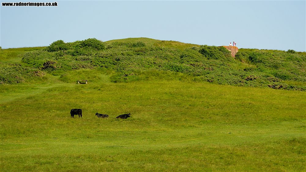 Burton Bradstock