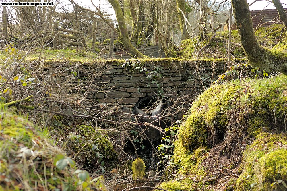 Cae Bryntywarch