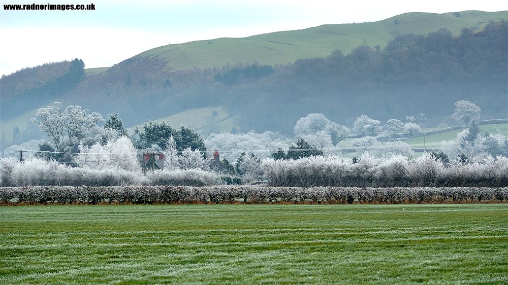 Caersws