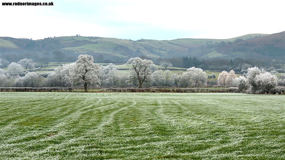 Caersws