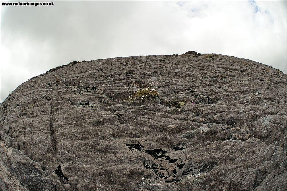 Caha Mountains