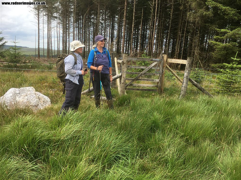 Cambrian Mountains