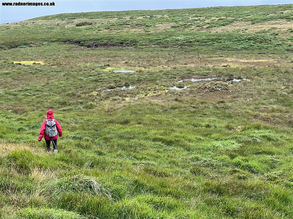 Cambrian Mountains