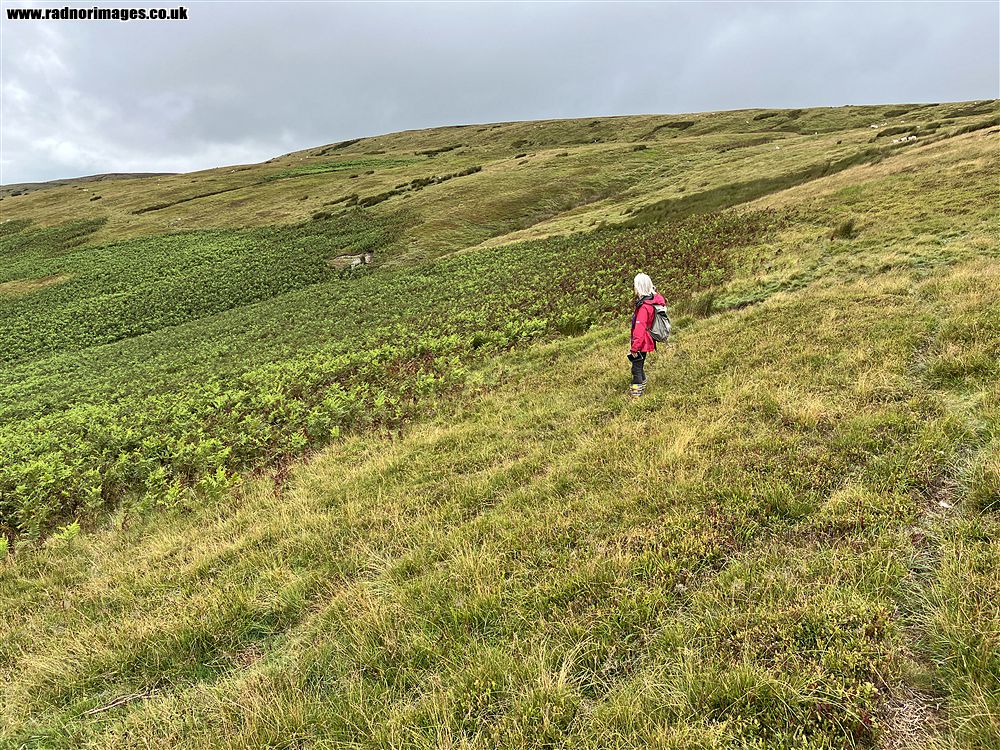 Cambrian Mountains