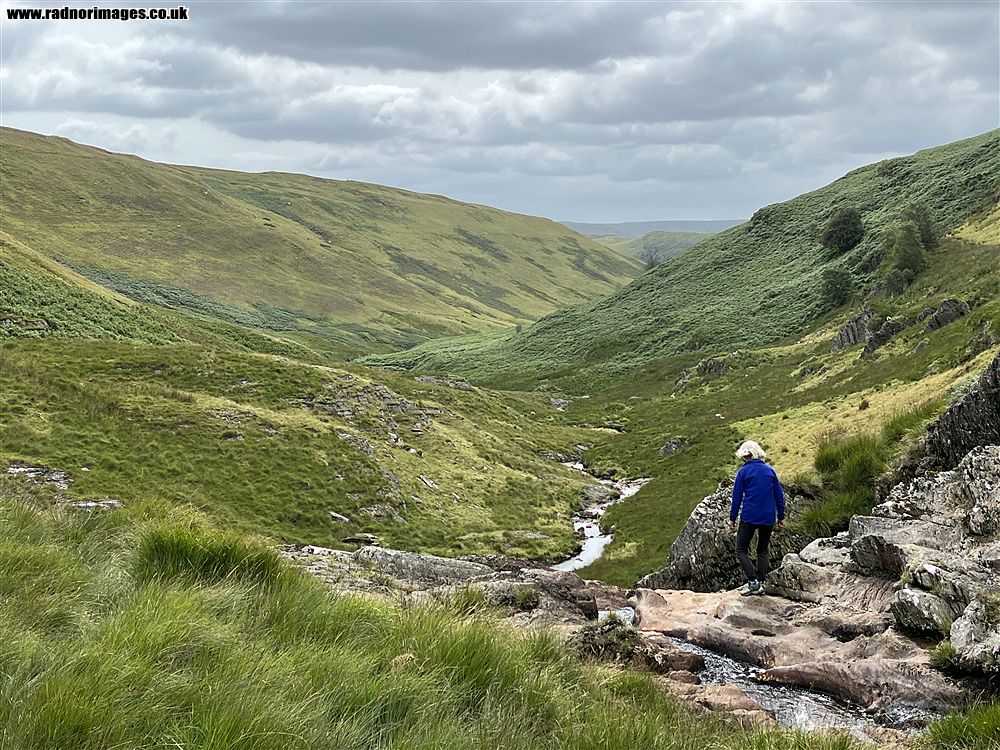 Cambrian Mountains