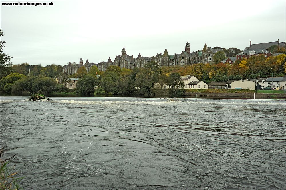Cork