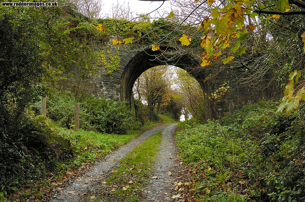 Cork, Bandon and South Coast Railway