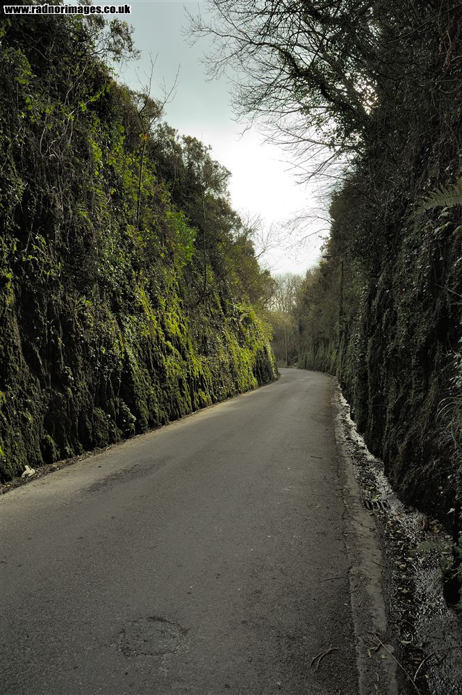 Cork, Bandon and South Coast Railway