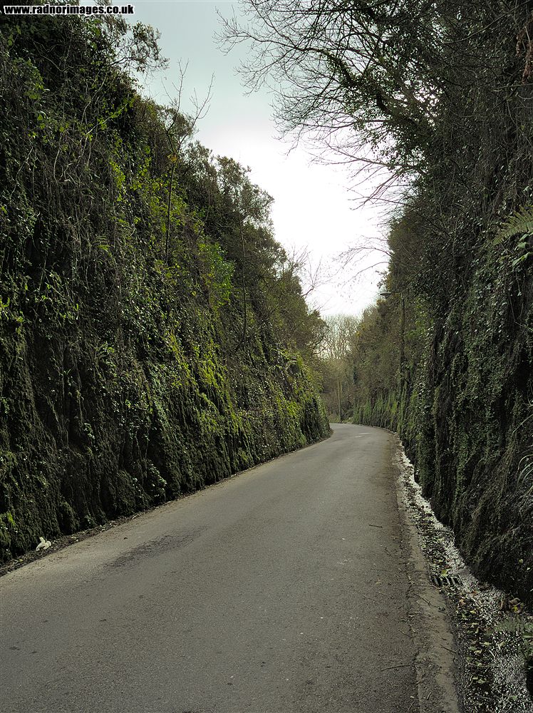 Cork, Bandon and South Coast Railway
