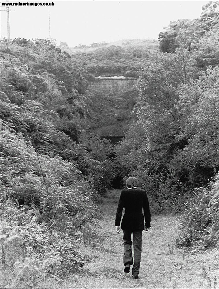 Cork, Bandon and South Coast Railway