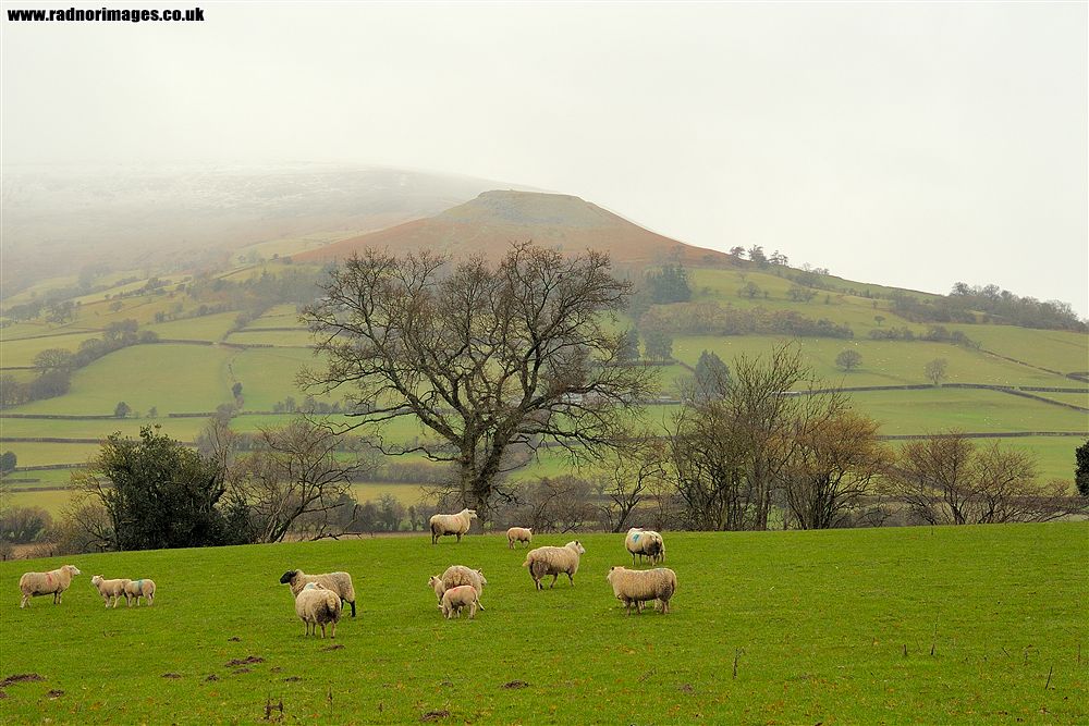 Crickhowell