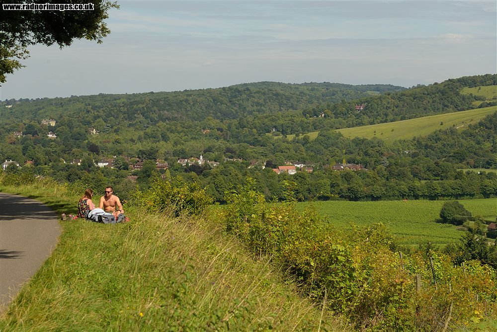 Dorking