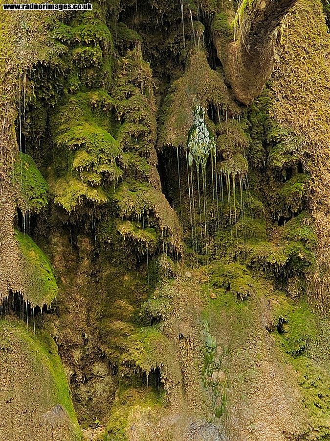 Drippy Tufa on a Cliff