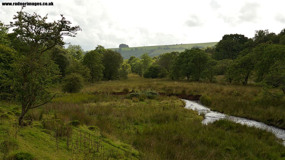Epynt