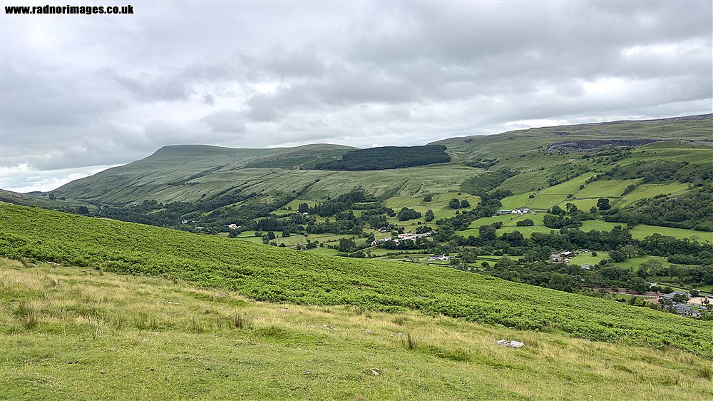 Fforest Fawr