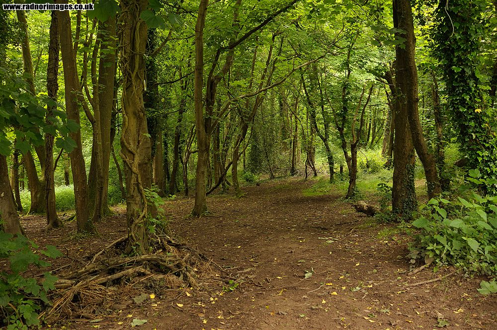 Glangrwyney