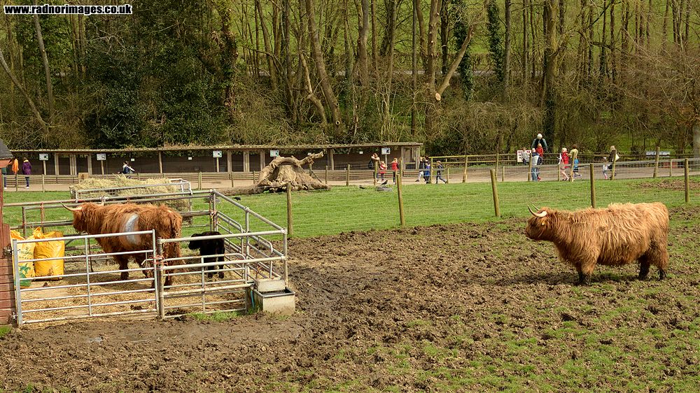 Godstone Farm