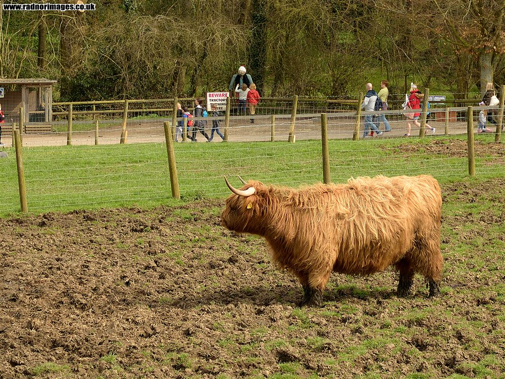 Godstone Farm