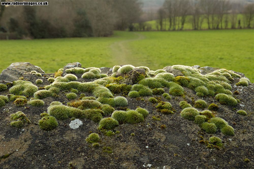 Hay on Wye