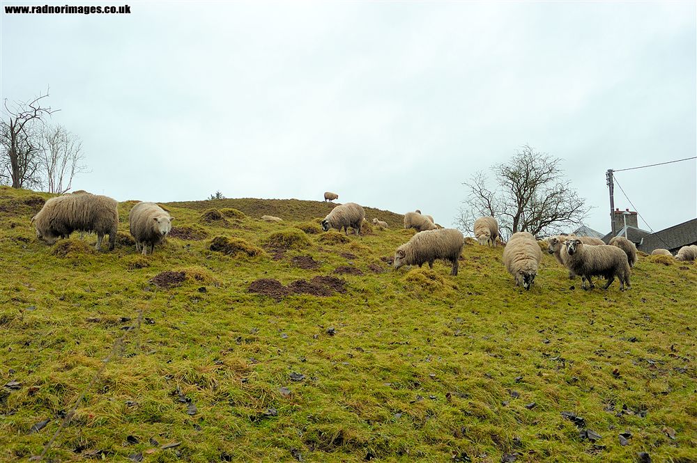 Hay on Wye