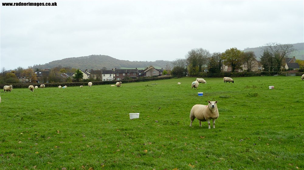 Hay on Wye