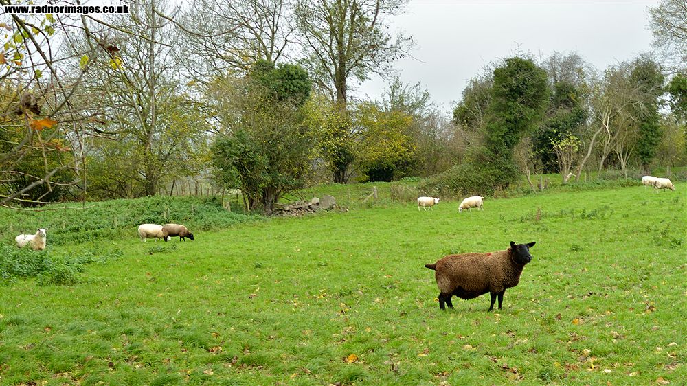 Hay on Wye
